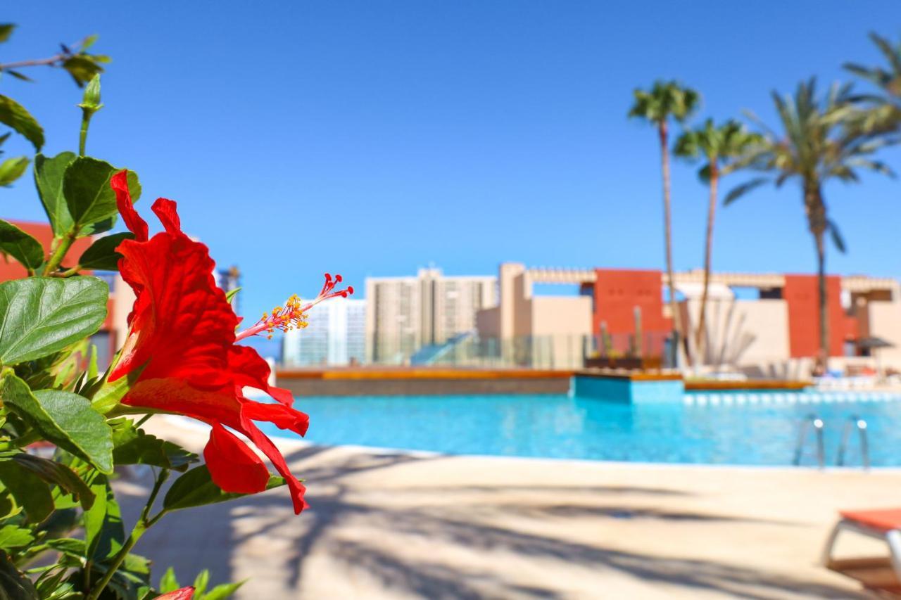Chill In Paradise プラヤ・パライソ エクステリア 写真